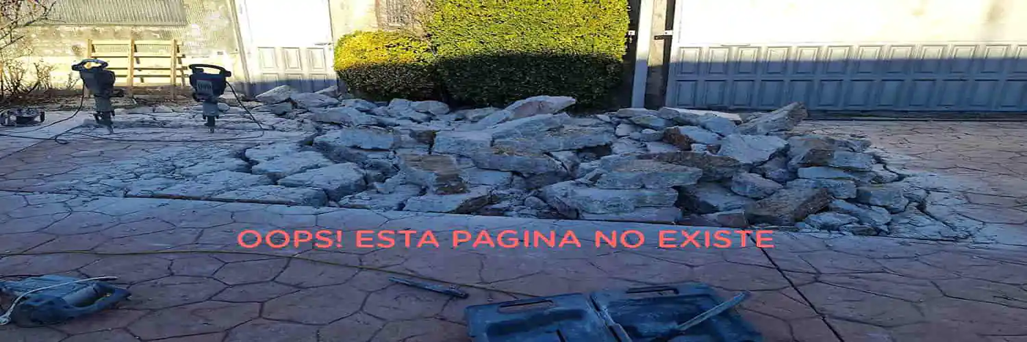 Esta pagina no existe